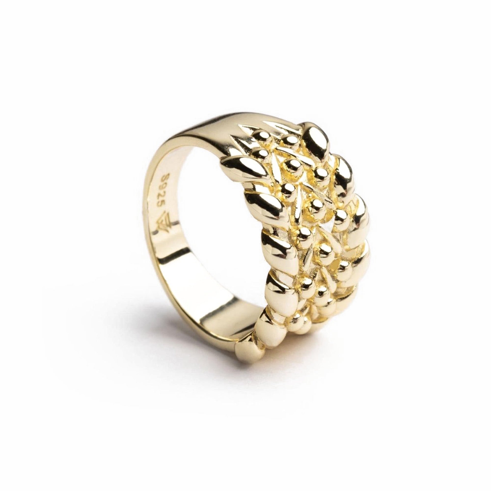 Keeper Ring - warpedsense