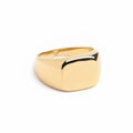Rounded Signet Ring - WARPEDSENSE