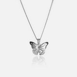 Butterfly Chain - WARPEDSENSE
